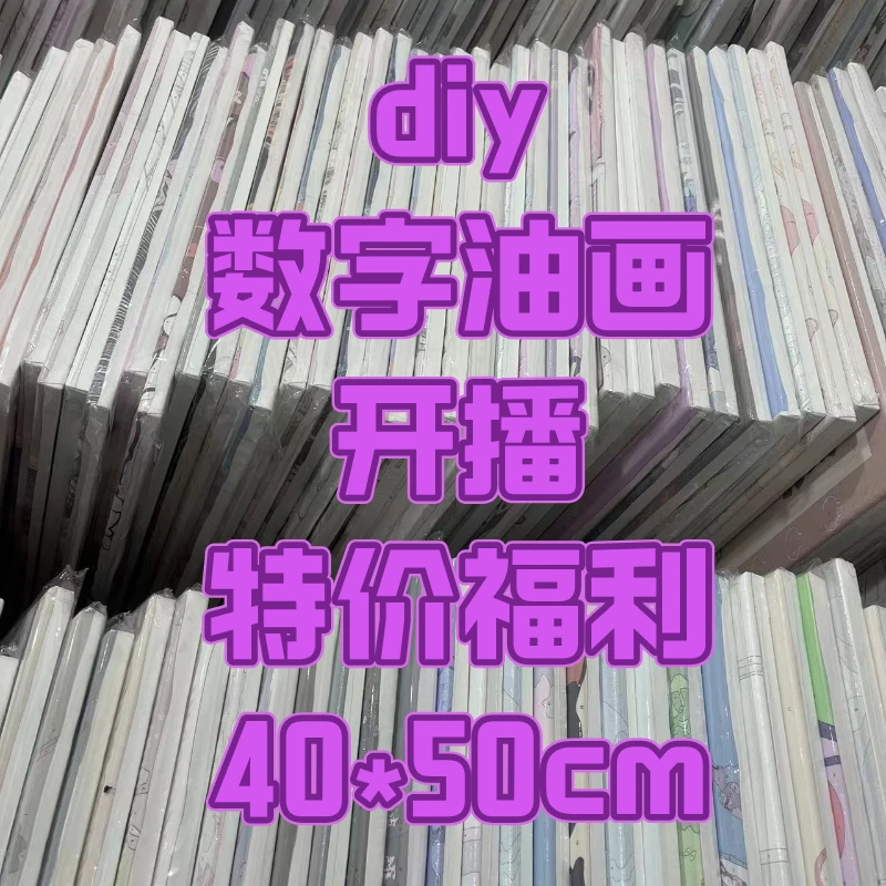 （开播福利）40*50cm diy数字油画