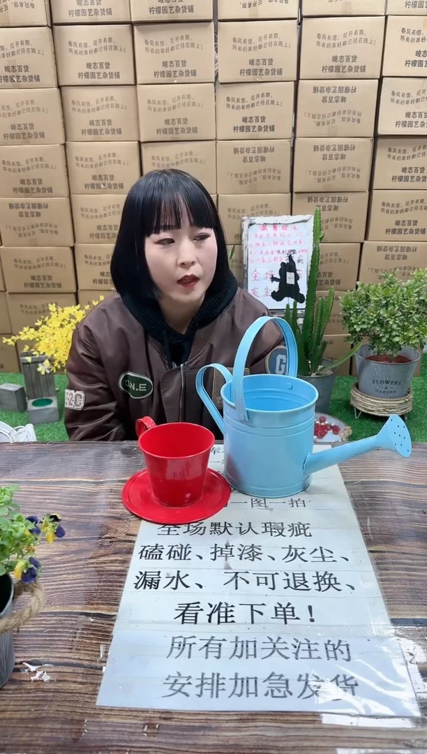 【闪购商品】红陶15cm以下576