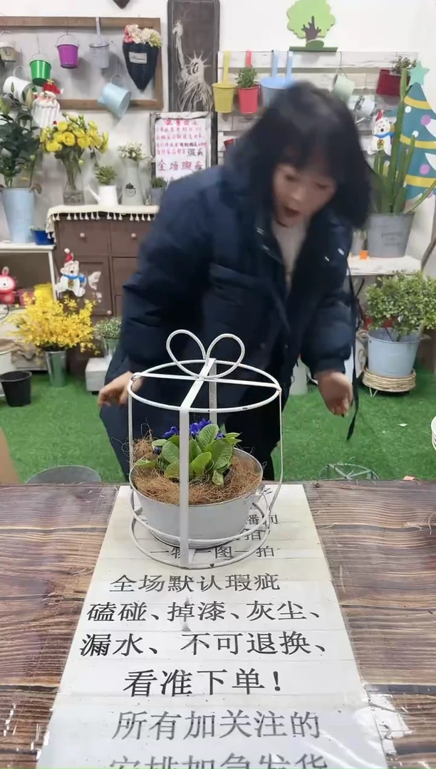 【闪购商品】红陶15cm以下650