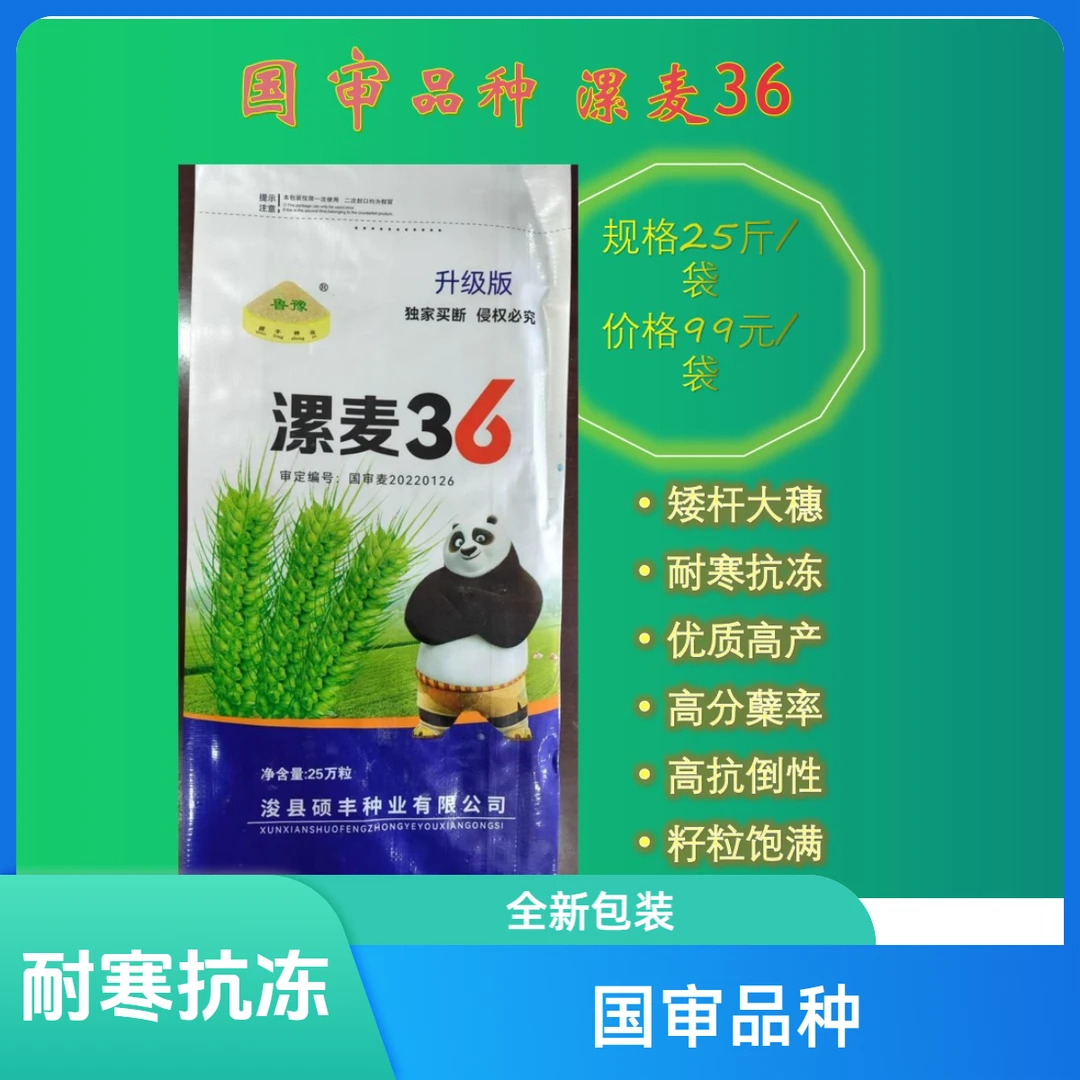 25万粒漯麦36 全新包装 国审品种，矮杆大穗优质高产耐寒抗冻品种