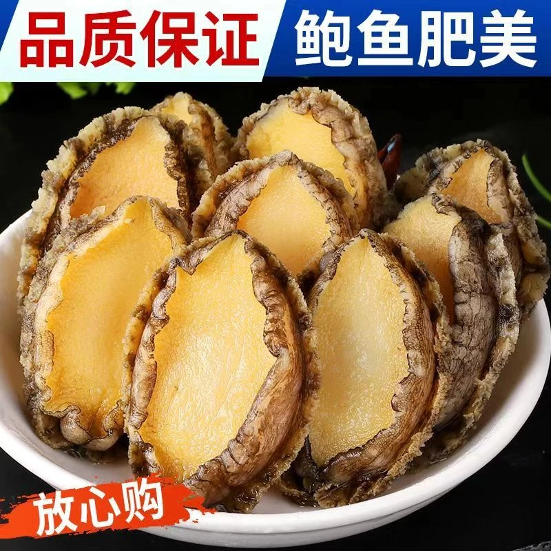 精选大号5~6cm鲍鱼现剥纯肉去牙去壳去内脏 20只+10只到手30只