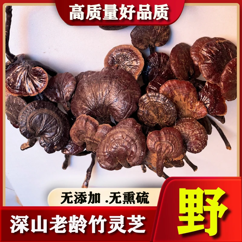 野生竹灵芝品质深山挑选整支切片帮磨粉煲汤滋补健康泡茶