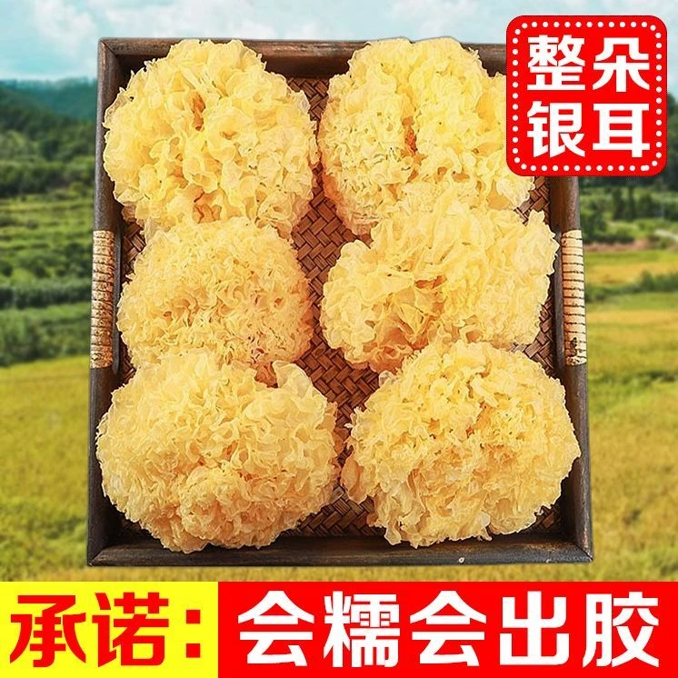 银耳新鲜干货500g古田银耳花批发多胶丑耳软糯雪耳2朵红枣银耳汤