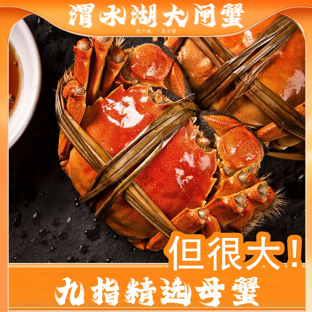 【超大只！鲜活】九指公蟹5.0两以上两8/9/10只大闸蟹精选养殖活蟹