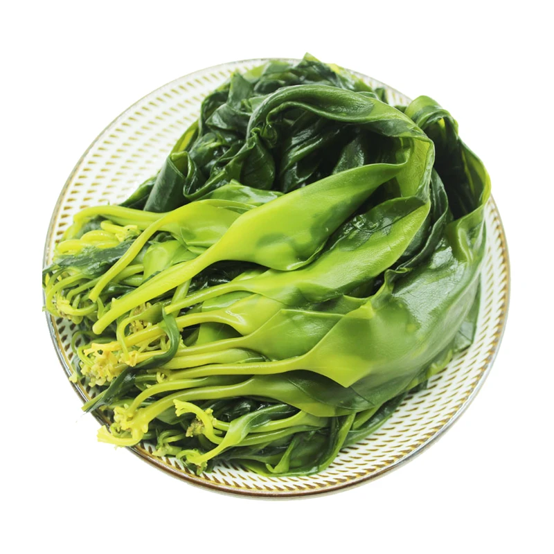 盐渍海带苗鲜嫩苗特产小海带芽凉拌麻辣烫火锅食材