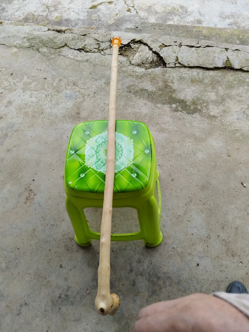 拐杖长寿腾拐杖孝敬老人