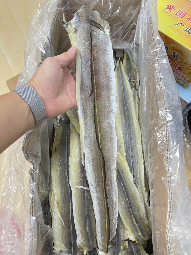 汕尾本地淡晒青鳗鱼干