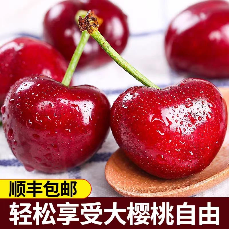 特大果 顺丰空运山东烟台大樱桃新鲜烟台福山樱桃3斤/5斤