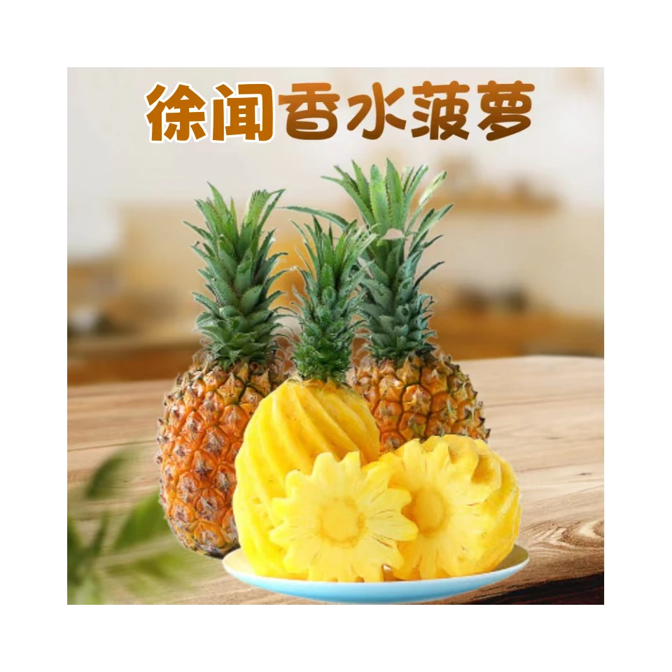 【徐闻菠萝】新鲜酸甜美味多汁现摘现发快递口感香甜多汁细腻包邮