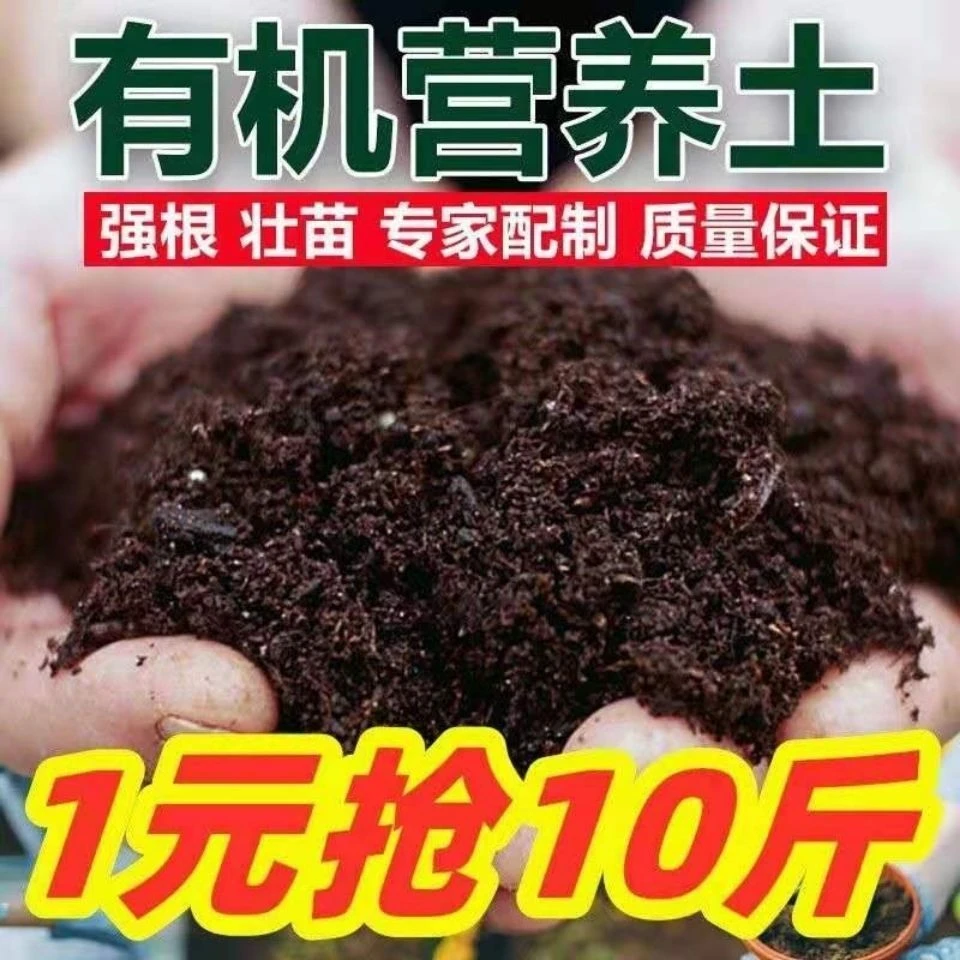 营养土批发养花君子兰专用土多肉植物营养土花土营养土通用种花