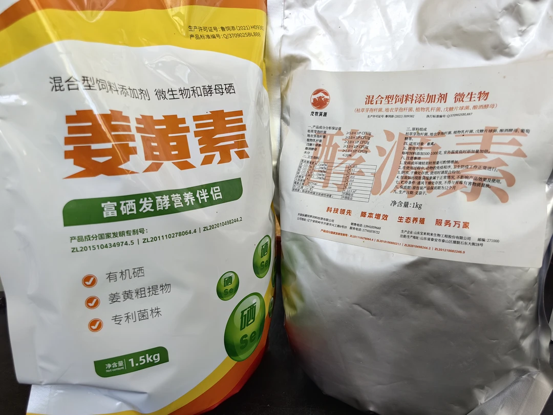 菌种姜黄素 发酵套餐