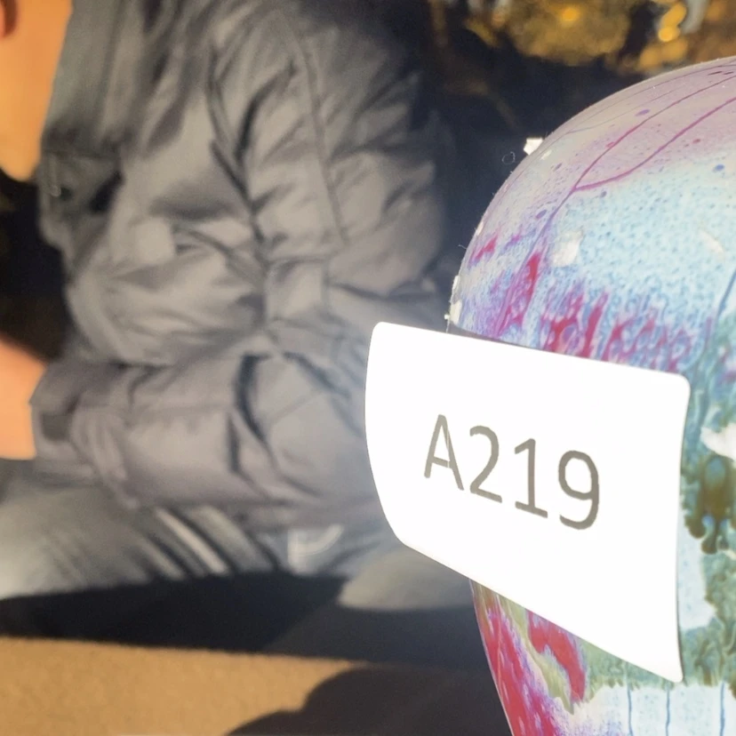 【闪购商品】密胺瓷片219