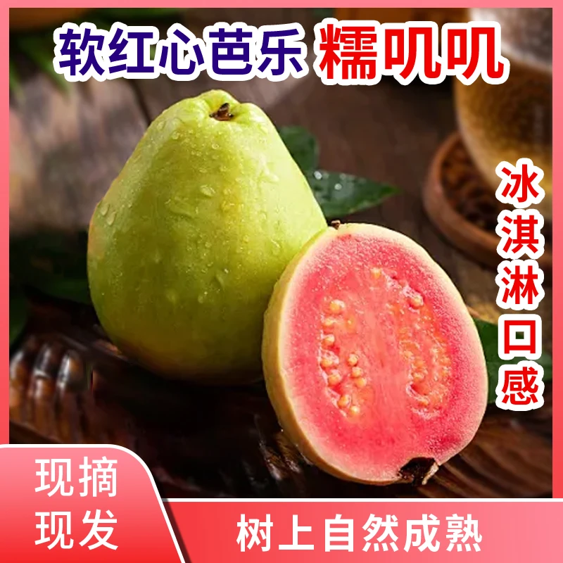 现摘新鲜广西红心芭乐番石榴白心奶油芭乐水果芭乐果双拼芭乐正宗