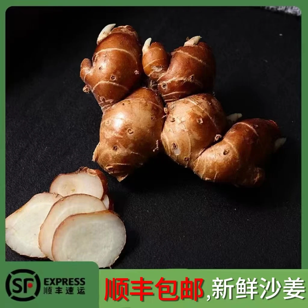 阳春沙姜新鲜现挖1斤包邮老姜山奈白切鸡椰子鸡香料调味配料去腥