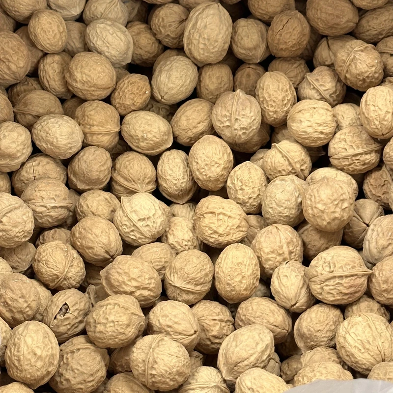精选薄皮纸皮核桃一斤两斤孕妇小孩老人都适合吃