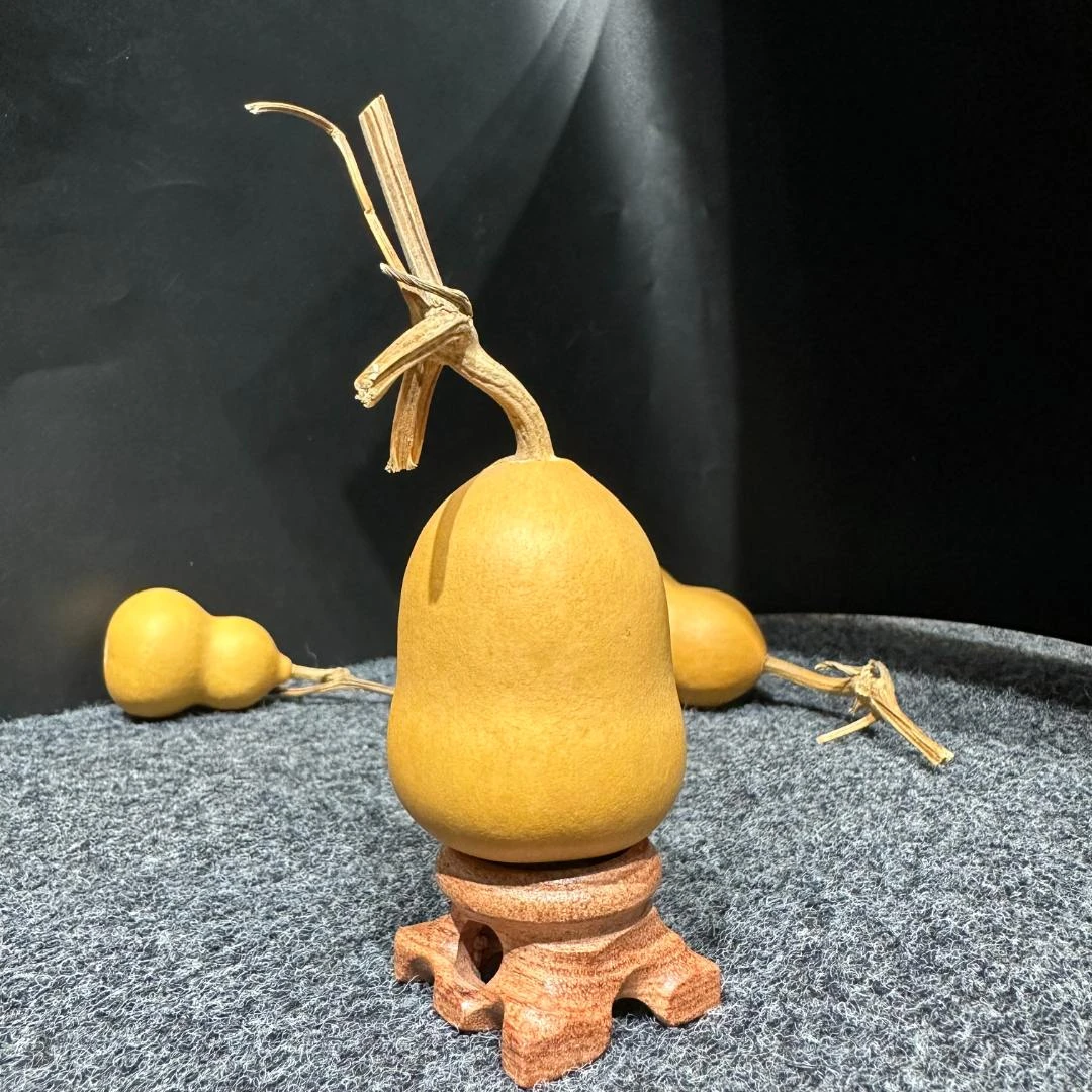 一个装胖腰葫芦 小美葫芦 煤气罐葫芦手捻胖葫芦文玩葫芦蒜头葫芦