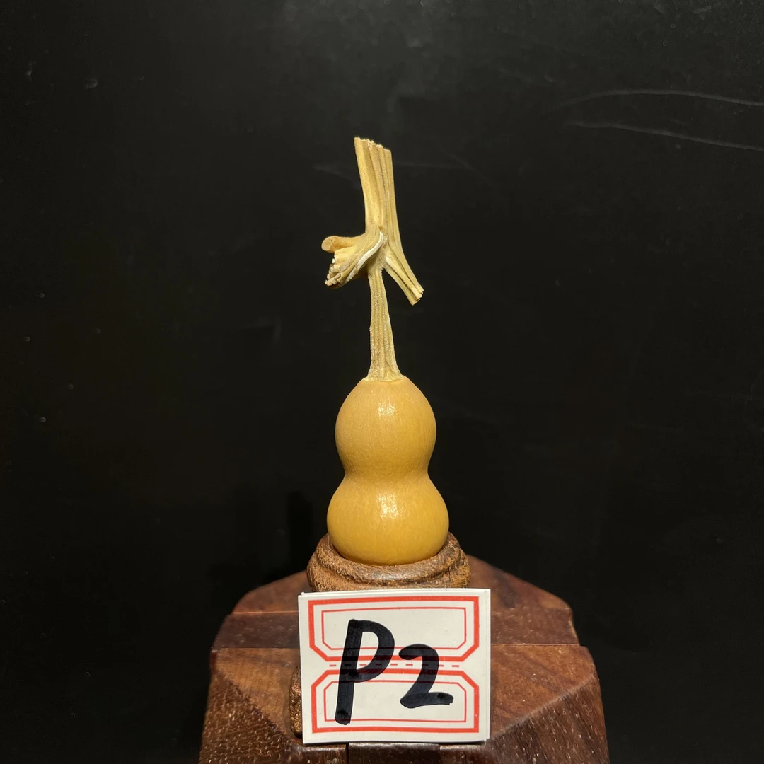 （P2号)拍品精品草里金葫芦20231027