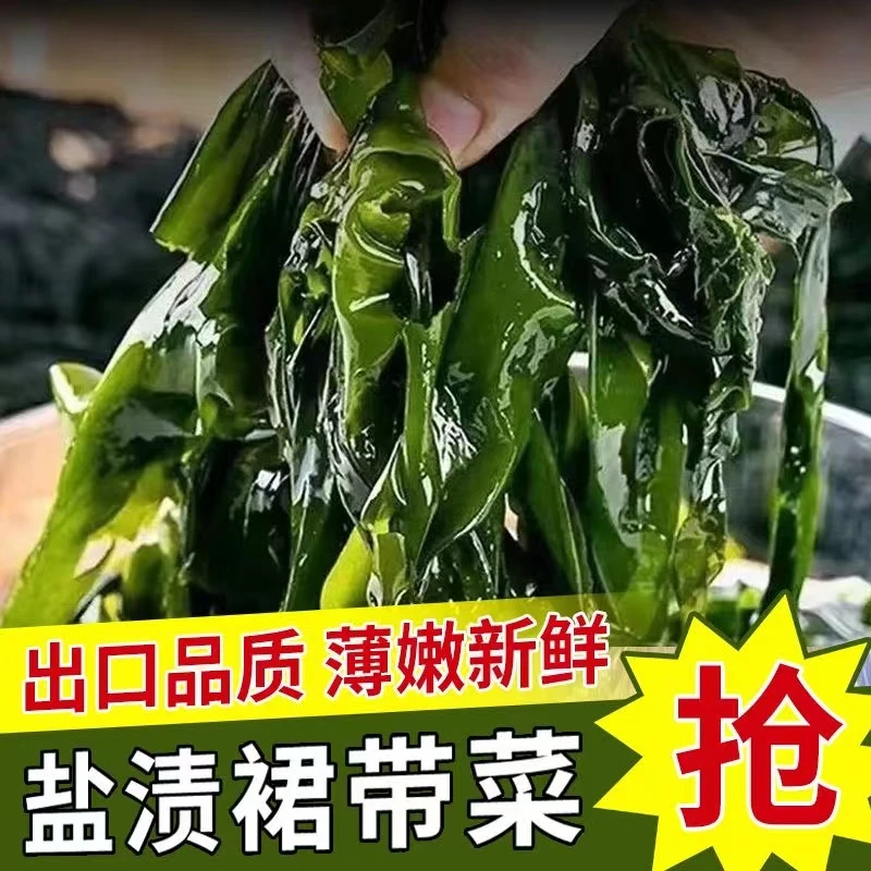 无虫眼盐渍裙带菜箱装新鲜优质脆嫩儿童爽滑火锅配菜少盐精品鲜嫩