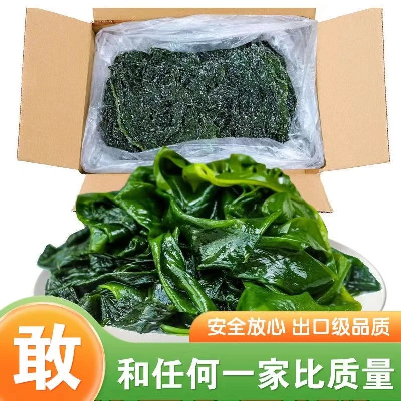 无虫眼【5斤】盐渍裙带菜海藻裙带菜汤盐少菜多新鲜优质营养方便鲜