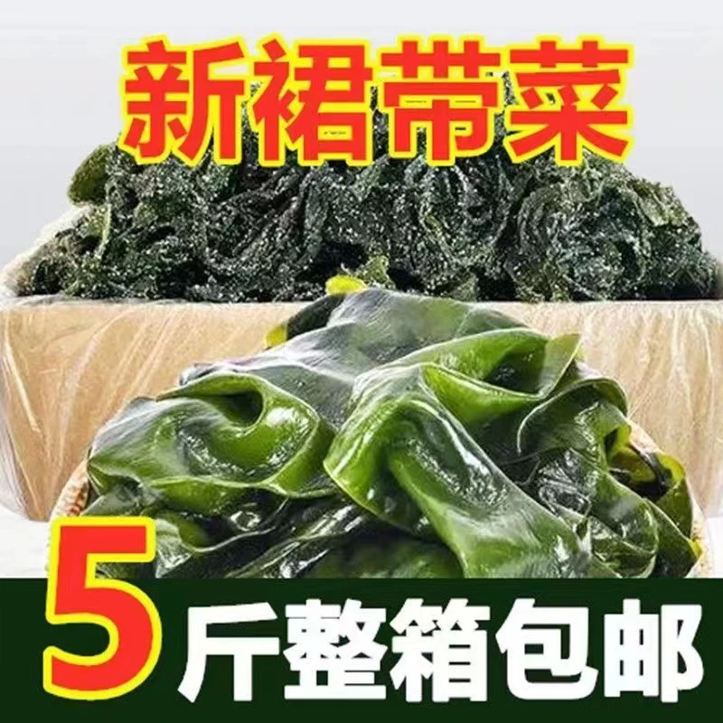 【太便宜了】盐渍裙带菜海藻海带鲜嫩凉拌麻辣烫火锅食材批发美味