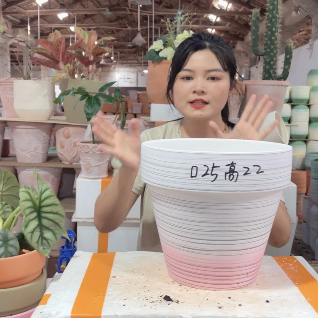 【闪购商品】红陶20CM（含）-50CM（不含）国际渐变粉25-22