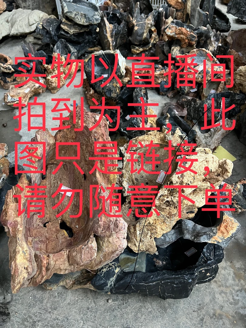 奇石花盆，奇型花盆绿植盆栽盆景石