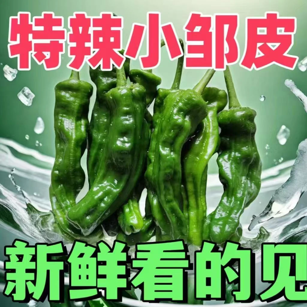 【抢购中】爆辣小皱皮辣椒特辣会龙青皮辣椒新鲜农家蔬菜整箱批发