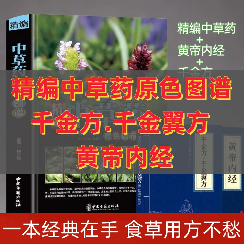 中国药典中草药原色图谱+千金方+黄帝内经400余种常用中草药大全