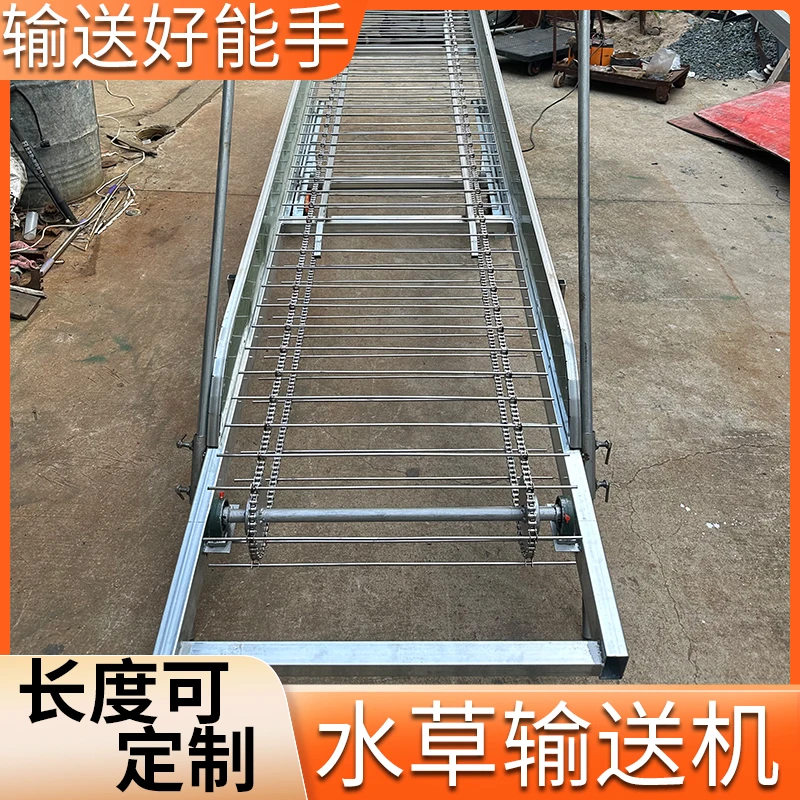 （运费联系客服）虾蟹塘水草输送机 不锈钢链条传送筛 长度可定制
