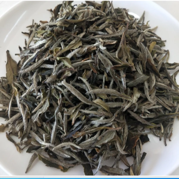 福鼎白茶兵壶缘2017年陈韵牡丹王陈香密韵可可香药香水柔