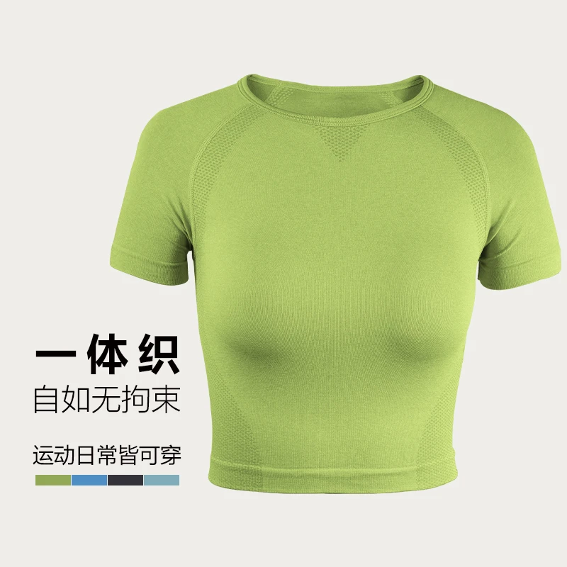 DANLANG无缝圆点点运动短袖女圆领速干透气健身瑜伽紧身上衣C2497