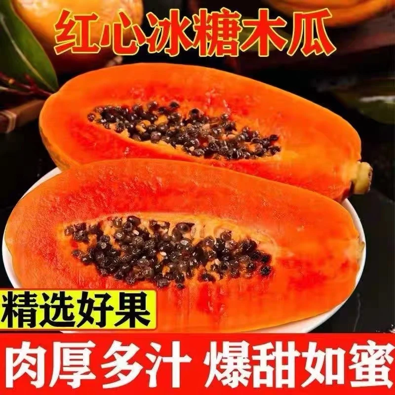 【食临季】自营云南树上熟牛奶红心木瓜3/5/8斤