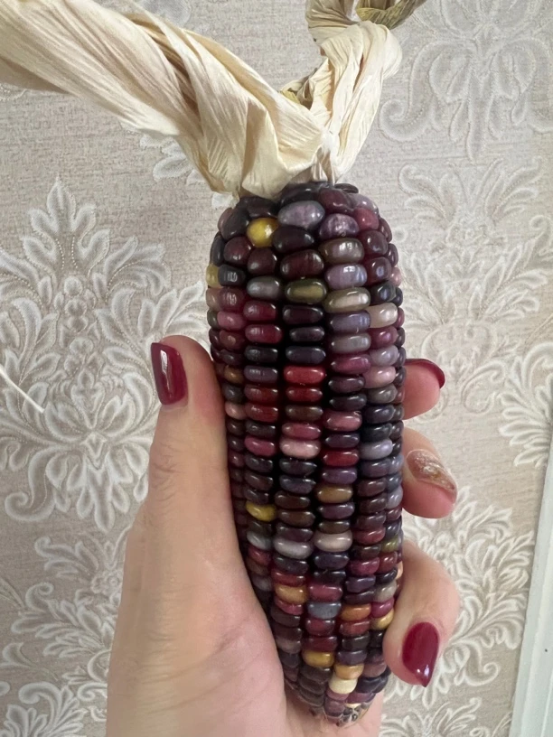 文玩小玉米直播间一物一拍（扣后四位）