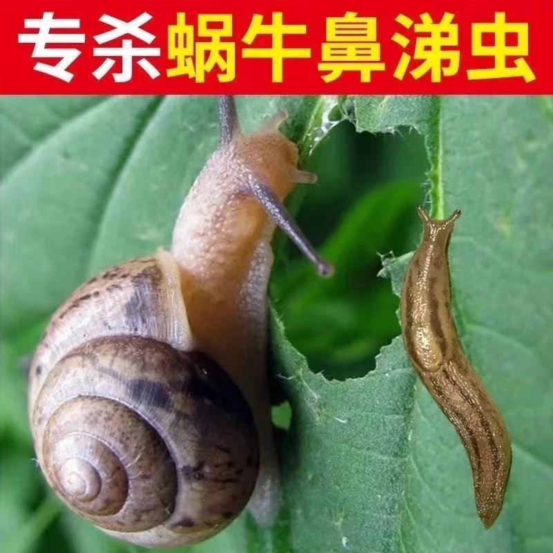 蜗牛药菜地杀蜗牛药鼻涕虫专用药四聚乙醛酫颗粒灭蜗牛治杀虫剂