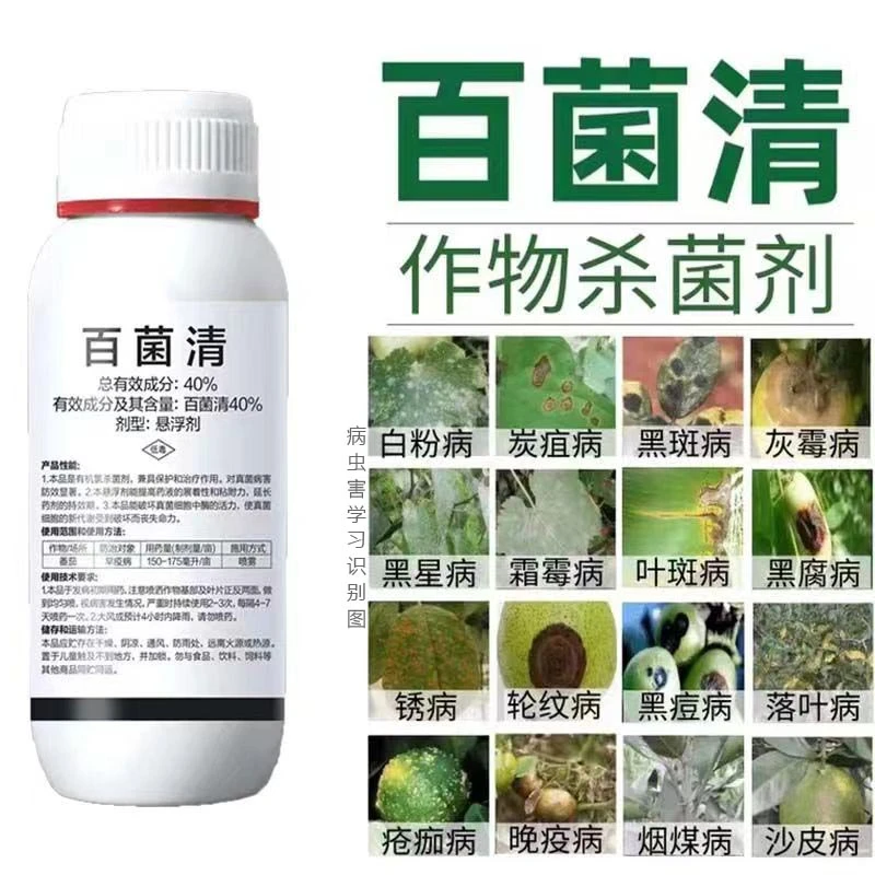 40%百菌清果树蔬菜花卉杀菌剂锈病炭疽病白粉病叶斑病霜霉病农药