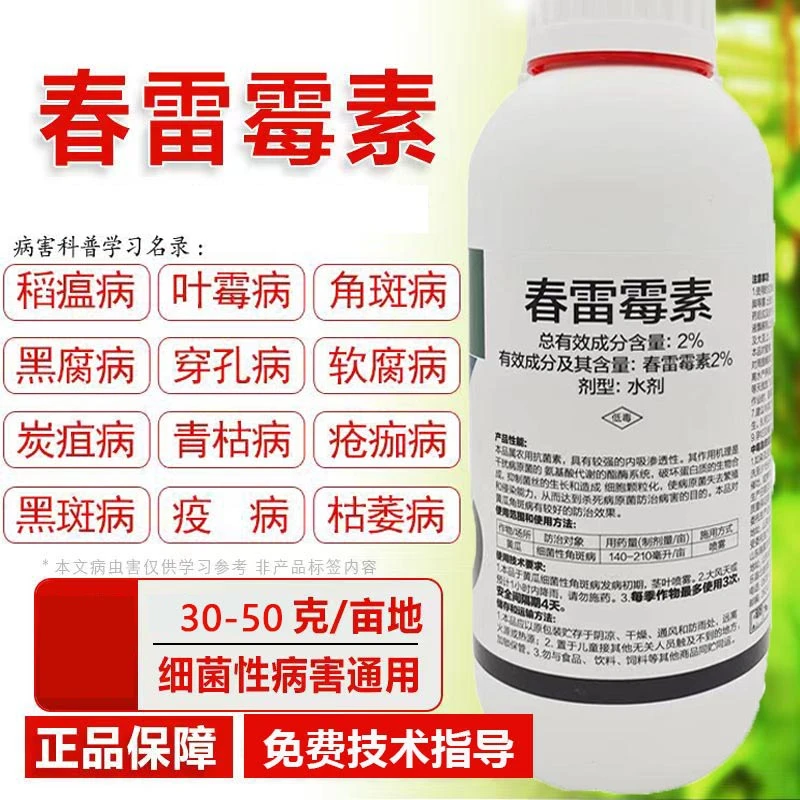 2%春雷霉素杀菌剂黄瓜细菌性角斑病