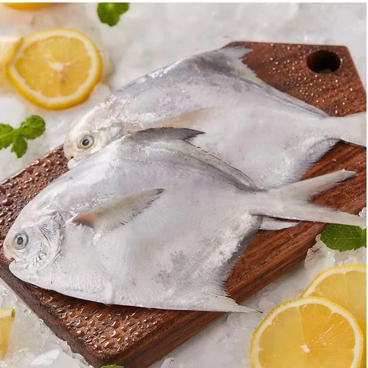 【吃好点 找老黄】舟山三宝 带鱼鲳鱼小黄鱼各500g/袋 新鲜美味营养