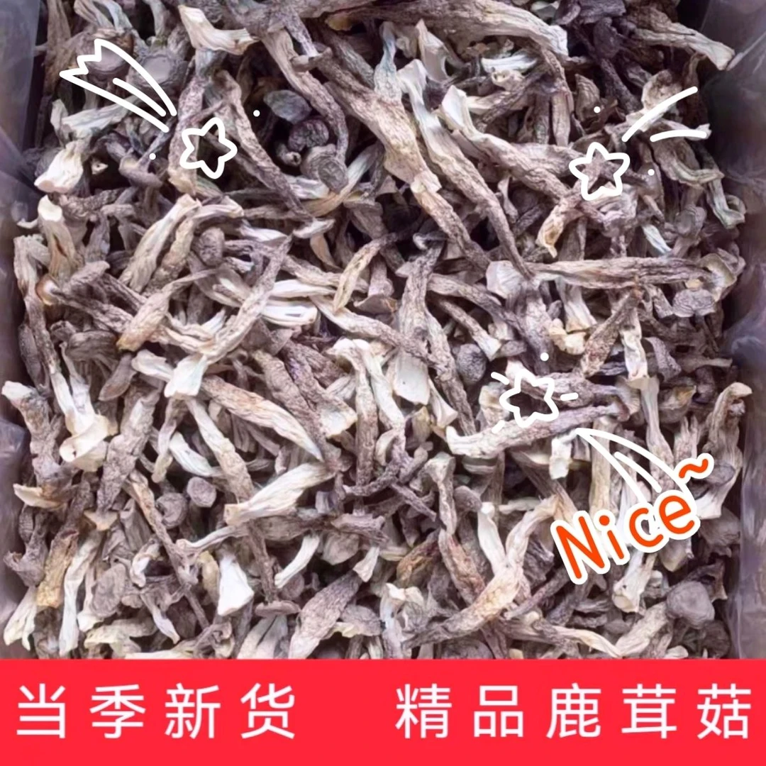 鹿茸菇传统农家自制鹿茸菇蘑菇干净散装干货无硫无砂烹饪肉质鲜美