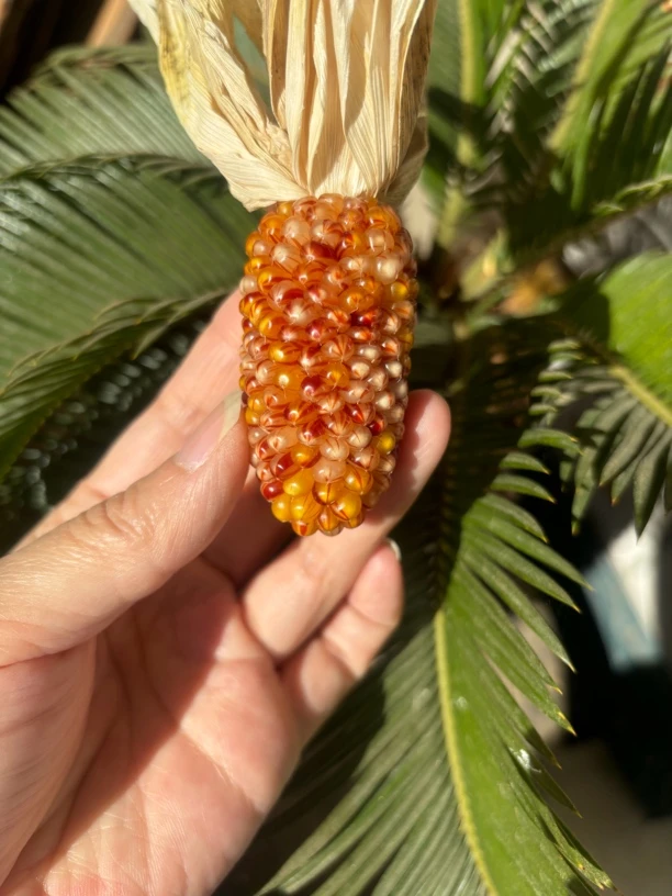 紫气东来挂饰玉米摆件