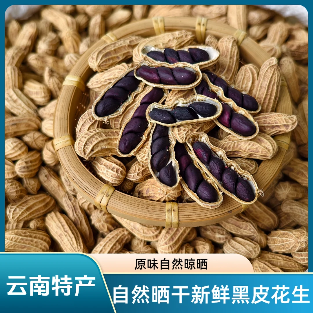 带皮花生云南黑花生干货2025年新货带壳生食精选大粒黑花生