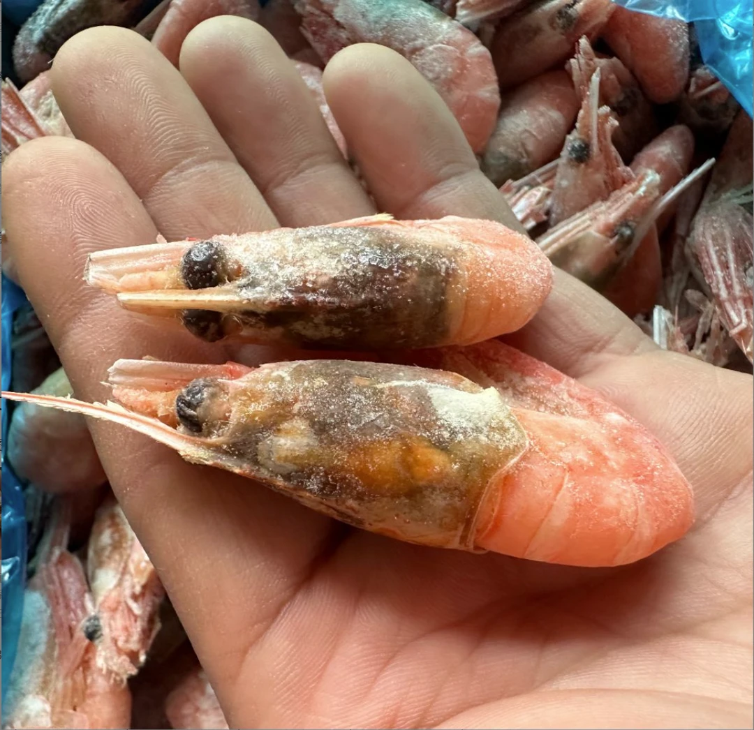 涛 北极甜虾80-100黑头海藻虾