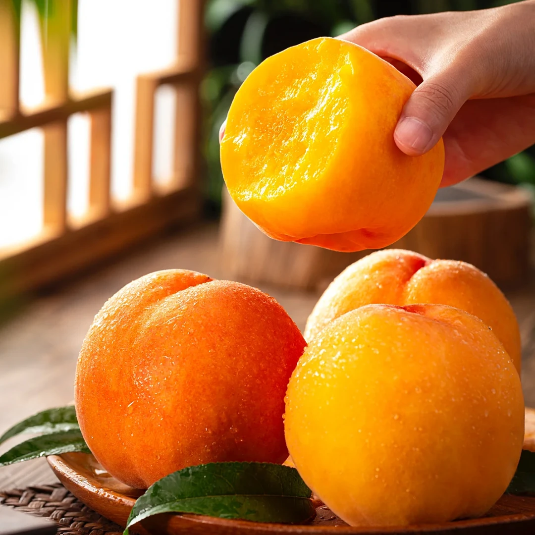 【邮政专属】金香黄毛桃净重4.5斤脆甜大果夏季尝鲜新鲜水果包赔