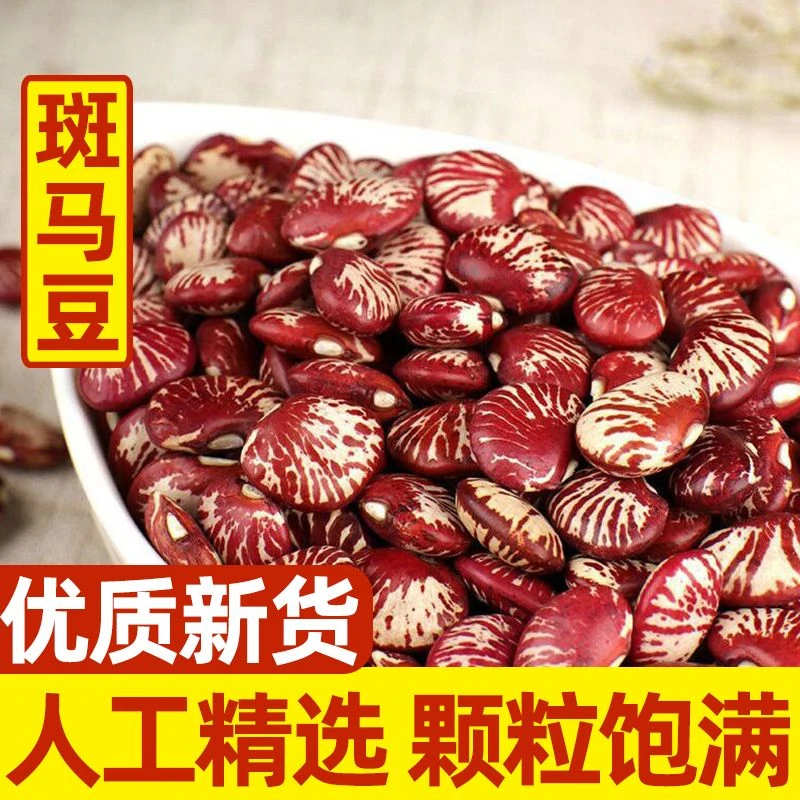 云南斑马豆新鲜肾豆花豆小芸豆农家自产班马豆小荷包豆杂粮批发