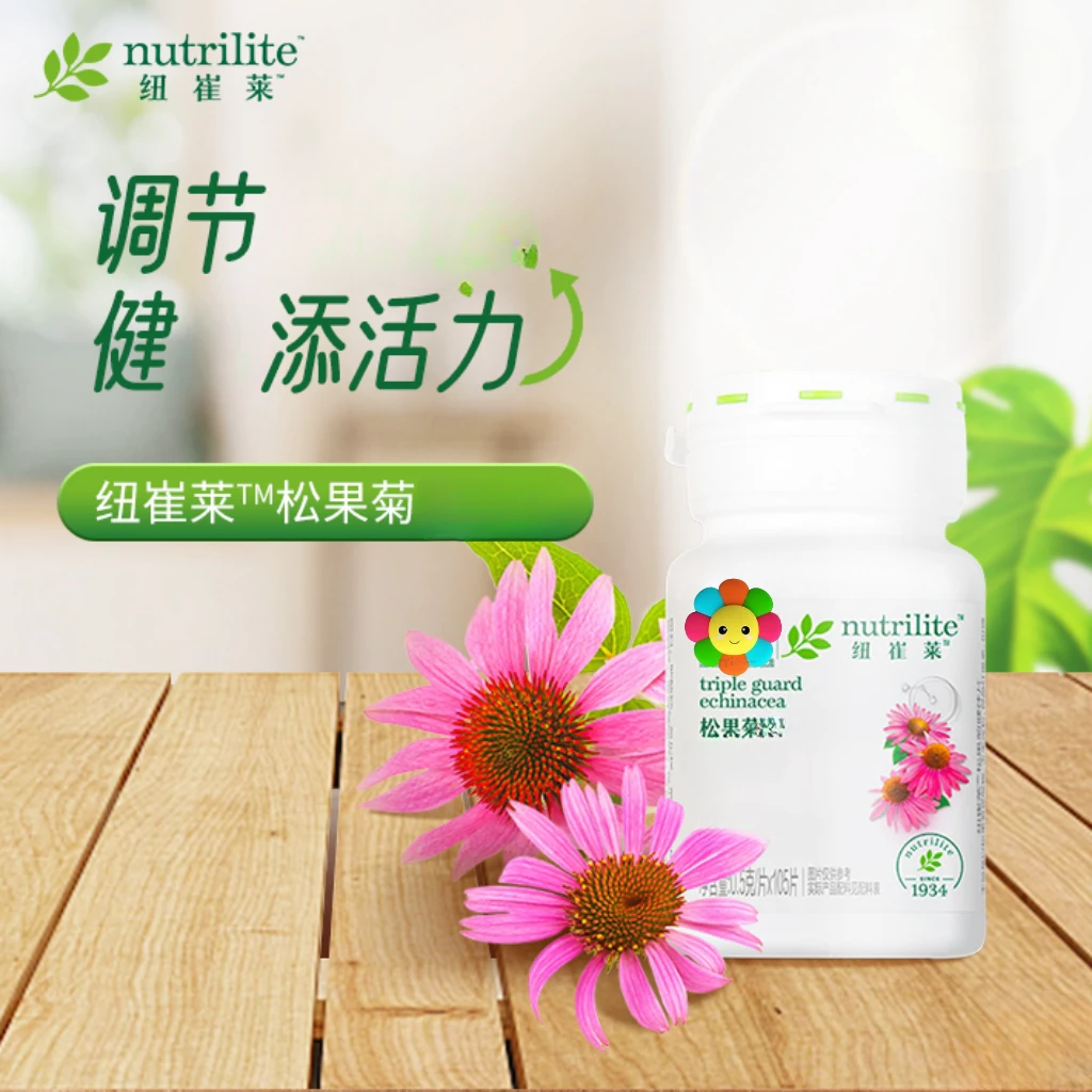 纽崔莱松果菊果味糖果105片