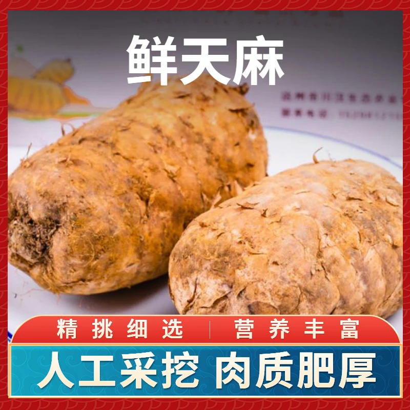 正品特级新鲜天麻直播带货生态天麻炖鸡记忆力差营养精选压力大