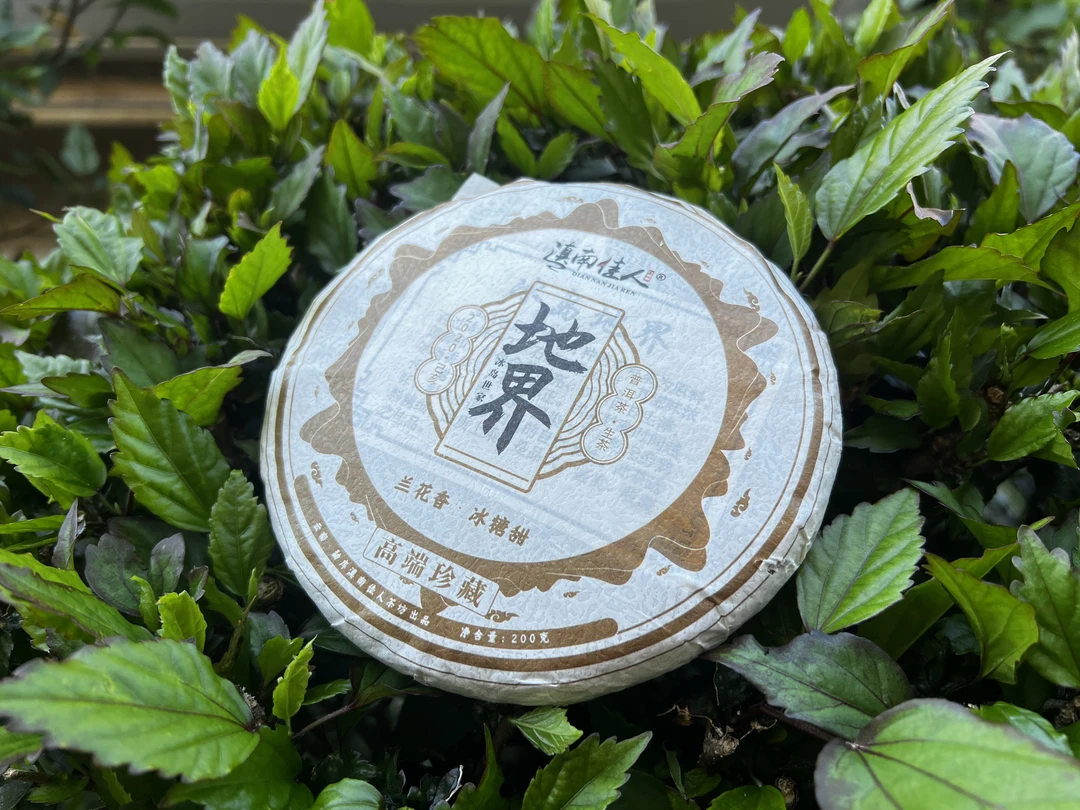 【冰岛地界大树头春】2021年手工茶200克饼 茶汤兰花香茶气丰富饱满