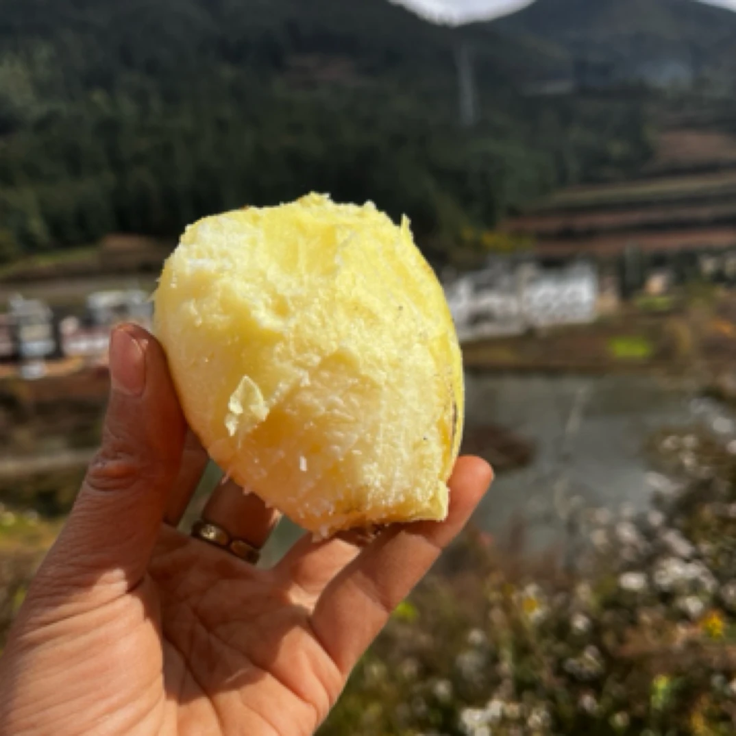 （个头小）正宗云贵川老品种米拉洋芋农家自种妈妈的味道土豆马铃薯