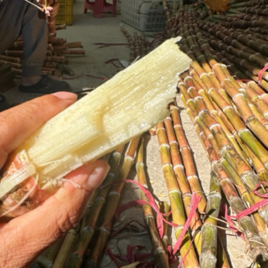 【蒋姐专属】云南农村老品种脆皮红皮甘蔗新鲜多汁水皮薄脆嫩爆甜