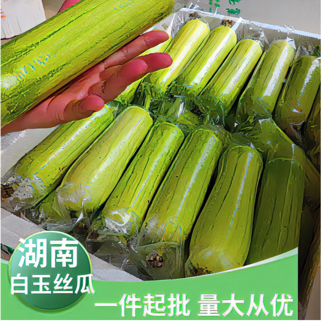 湖南白玉丝瓜新鲜现摘产地直发露天种植鲜嫩多汁农家蔬菜