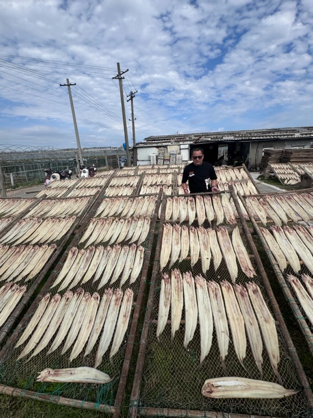 东海野生海鲜油鳗干 沙鳗干 七星鳗干 （规格以直播间为准）